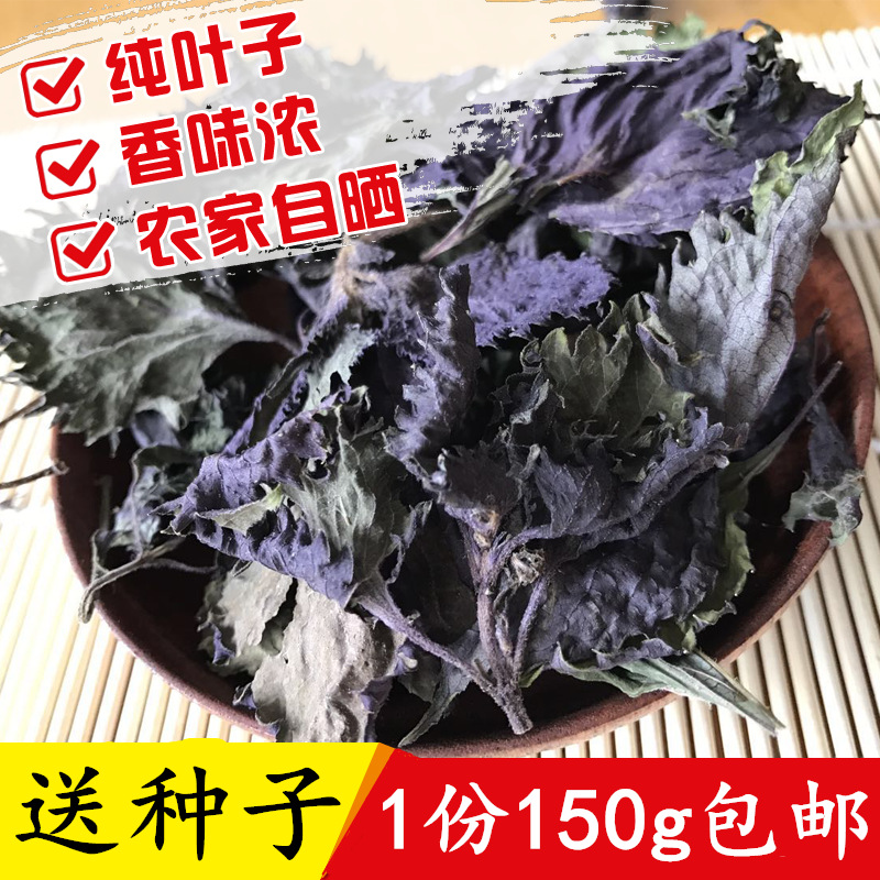 Свежие дикие листья периллы, сушеные для чая и ванны, без толстых стеблей, бесплатные семена