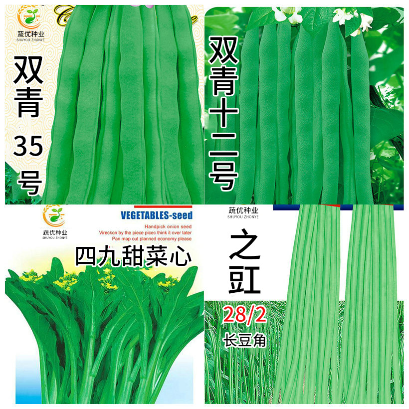 Wholesale Vegetable Garden Vegetable Seeds Nanpanzhou Late White Radish 12g Potted Balcony Yard Seeds Rapeseed