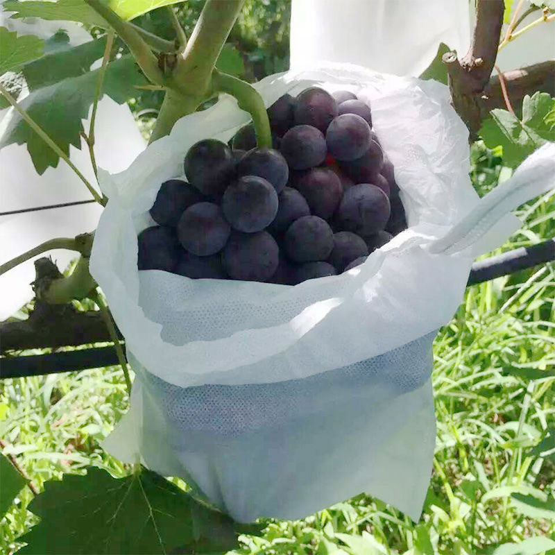 Non-Woven Fruit Bagging, Tying Wire, Grape Bag, Anti-Bird and Insect-Proof Water, Special Fruit Bag, Seedling Bagging, Spot Wholesale