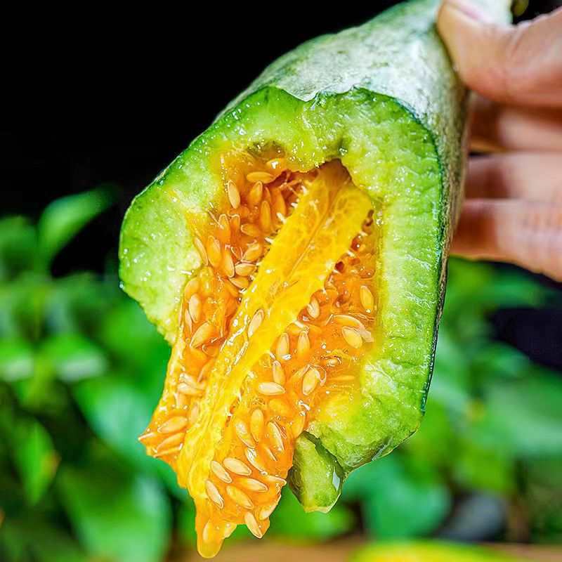 [Sweet] Crispy and Sweet Seasonal Honeydew Melon from Shandong, Fresh Thin-Skinned Honeydew Melon, Whole Box, Free Shipping