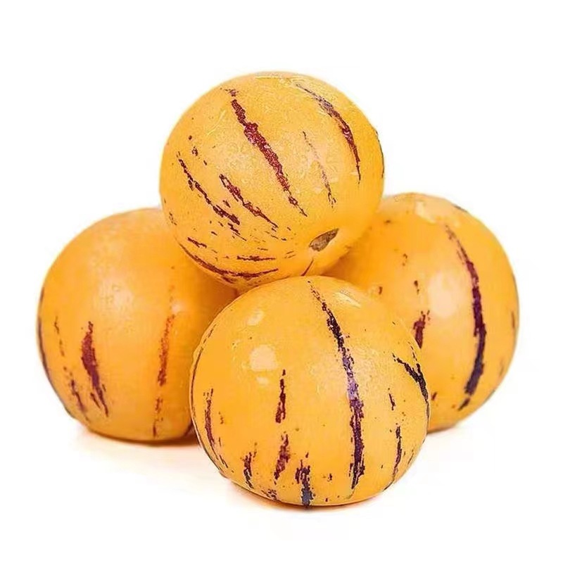 Yunnan Ginseng Fruit Seasonal Fruit Orchard Freshly Picked Ginseng Fruit Dropshipping