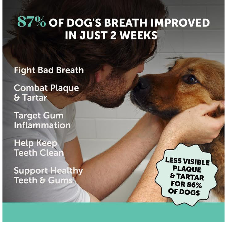 TK American District Hot Dog Teeth Cleaning Mouth Fresh Powder with Natural Herb and Probiotics Factory Wholesale