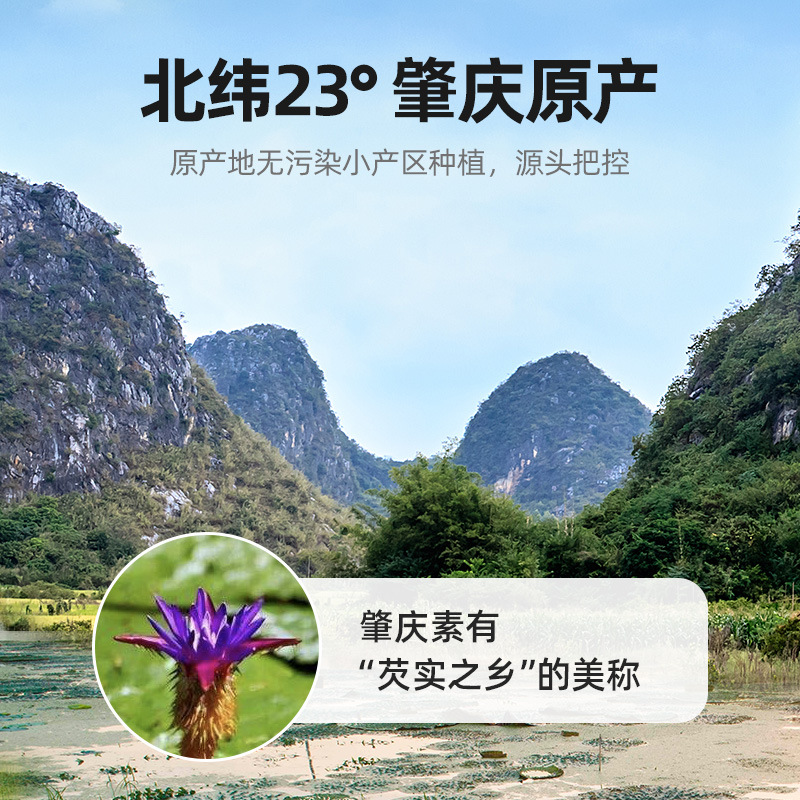 Qilixiang Guangdong Zhaoqing Gorgon Rice Farmhouse-Produced Large Chicken Head Rice Fresh Dry Goods Cishi欠实 Canned 250g