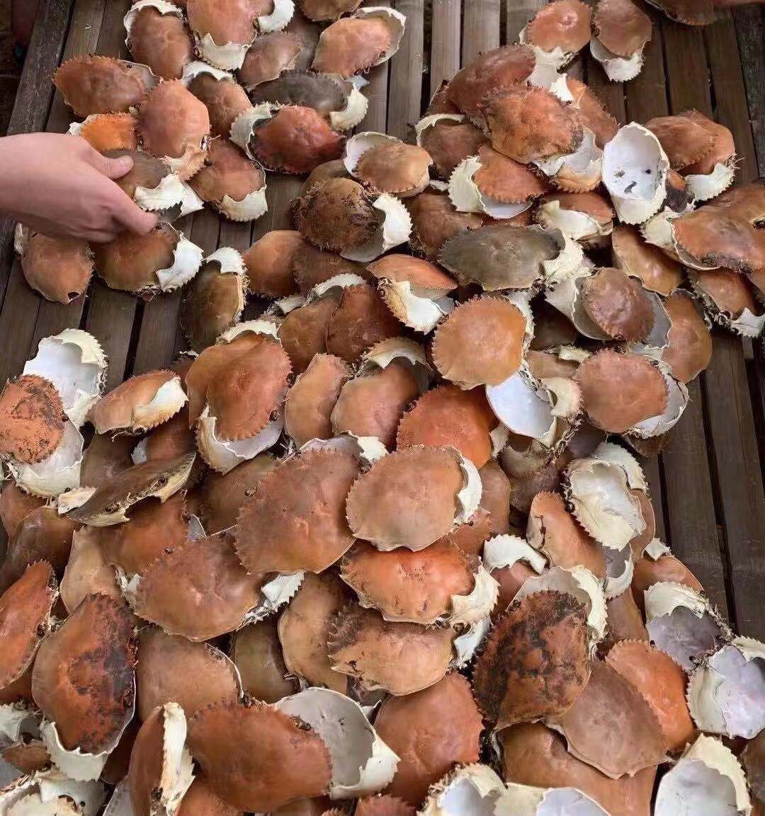 Крабовые панцири, крышки крабов, крабовые лакомства, мясо краба, сушеные крабовые панцири