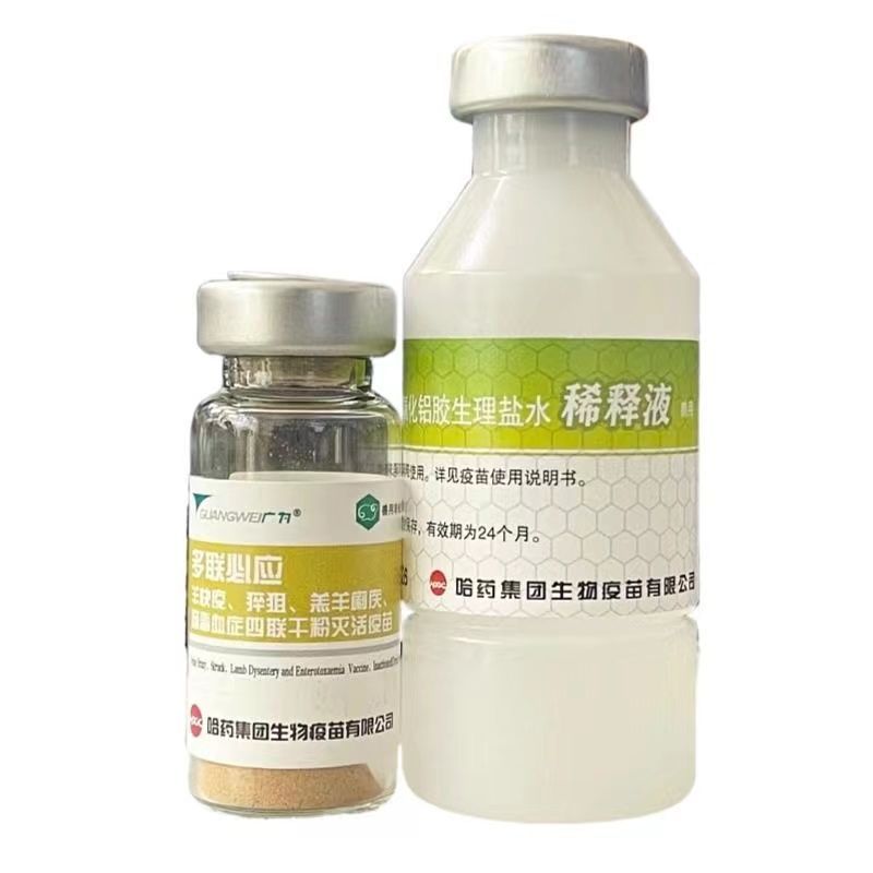 Harbin medicine sheep triple quadruple vaccine sheep vaccine sheep Clostridium disease multi-joint dry powder fire extinguishing vaccine multi-joint Bing Ying