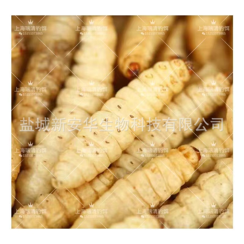 Small Size Freeze-Dried Honey Worm Grape Worm Corn Worm Free Shipping Bird Food Sugar Glider Embroidered Eye Hamster Feed Gecko Zero