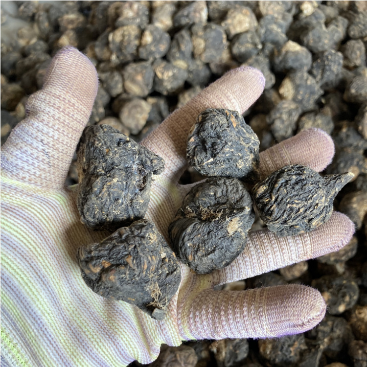 Wholesale Yunnan Maca, Lijiang Black Maca, Dried Maca, Maca Cards, Grindable Maca Powder, Wine Ingredients, Men's Nourishing Maca