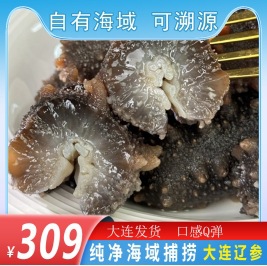 5-7 голов 500г готового к употреблению морского огурца из Даляня с Q-Bomb вкусом, прямая поставка от производителя