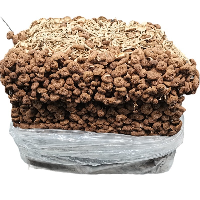 Fujian dried tea mushroom wholesale tea mushroom dry goods bulk origin direct wholesale 500g