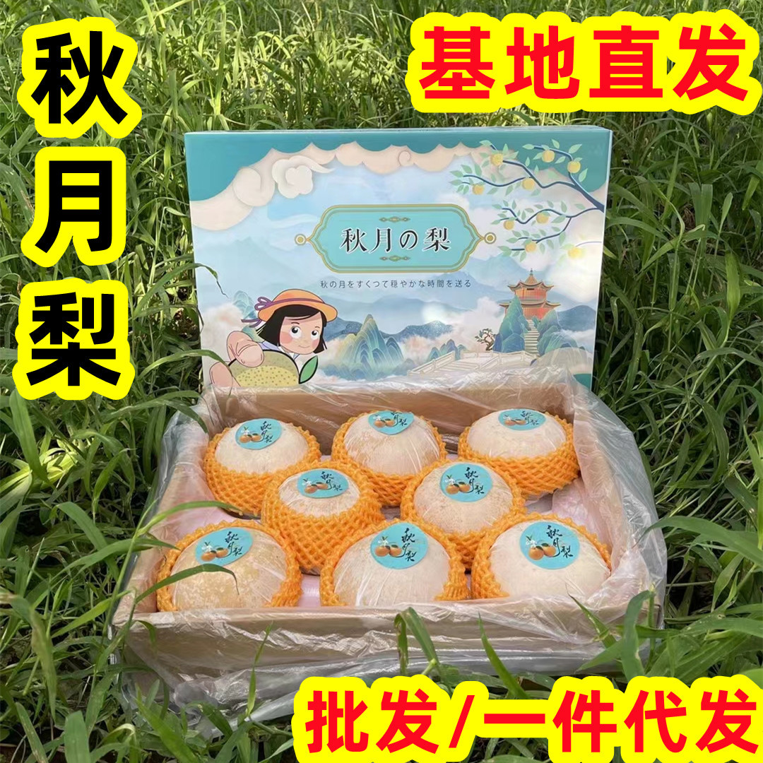 Shandong Qiuyue Pear Fresh Fruit Gift Box Crisp Sweet Suet Rock Sugar Laiyang Pear 2.5kg Feifeng Shui Pineapple Dropshipping