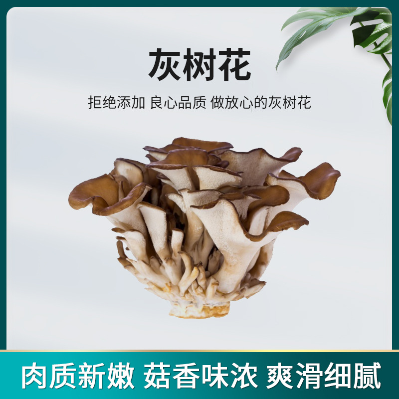 Ash tree flower dried goods new goods soup cooking good food farm self-produced mushroom origin direct batch edible mushroom
