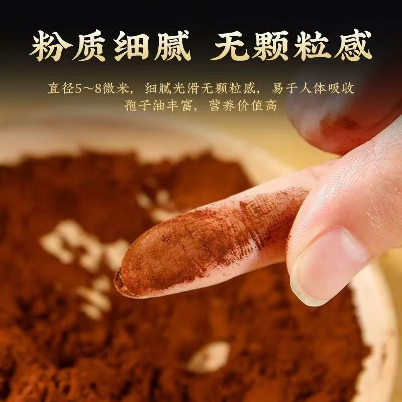 Authentic First Batch of Broken-Cocoon Ganoderma Spore Powder 250g Iron Box for E-Commerce Dropshipping and Wholesale