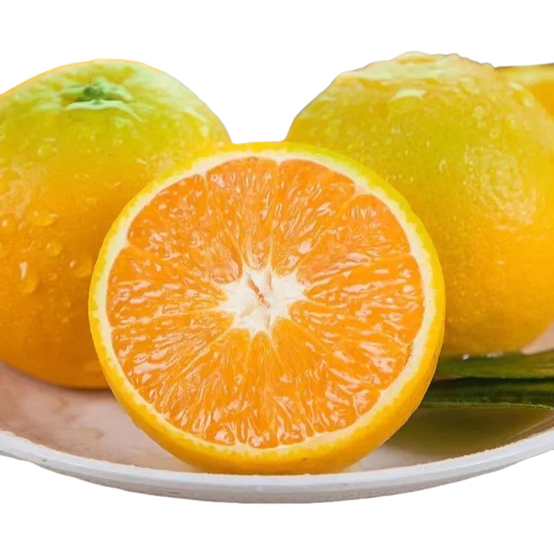 Hubei Summer Orange in Season Fruit Green and Yellow Peel Orange Free Shipping Fresh Fruit Summer Orange Dropshipping