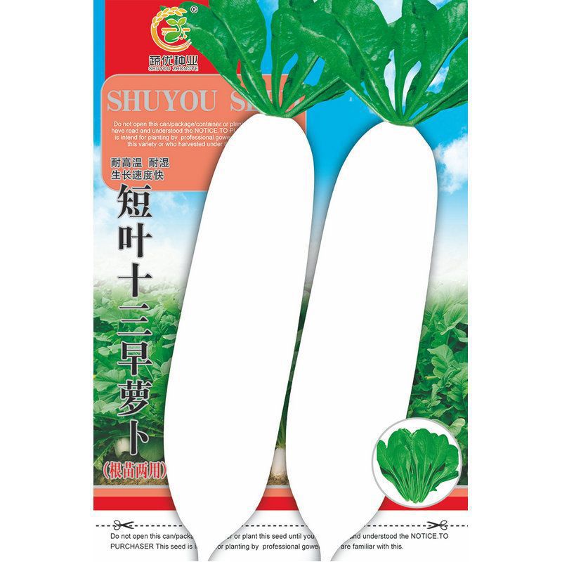 Wholesale Vegetable Garden Vegetable Seeds Short-Leaf Thirteen Early Radish 25g Potted Balcony Yard Rapeseed Manufacturer Supply