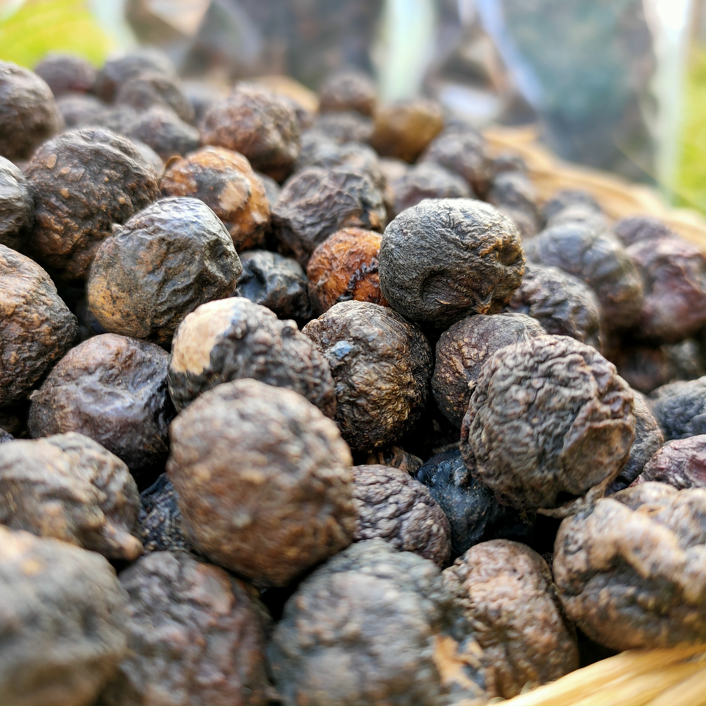 Wild Dried Loquat 2023 Fresh Sun-Dried Hengyang Farm Produce for Cough Relief Tea 0.5kg Packs