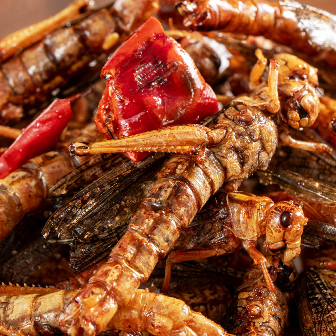 Shandong specialty fresh fried crispy spicy cumin grasshopper instant snacks crispy locust cooked food