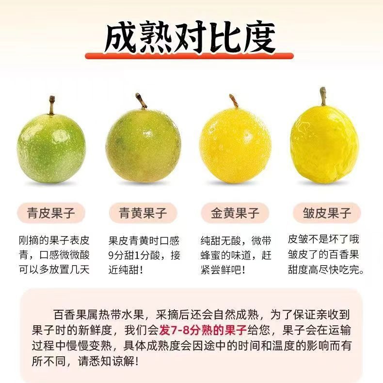Qinmi No. 9 Golden Passion Fruit Is Supplied All Year Round from the Origin and First-Hand Source. Seasonal Fresh Fruit Golden Passion Fruit