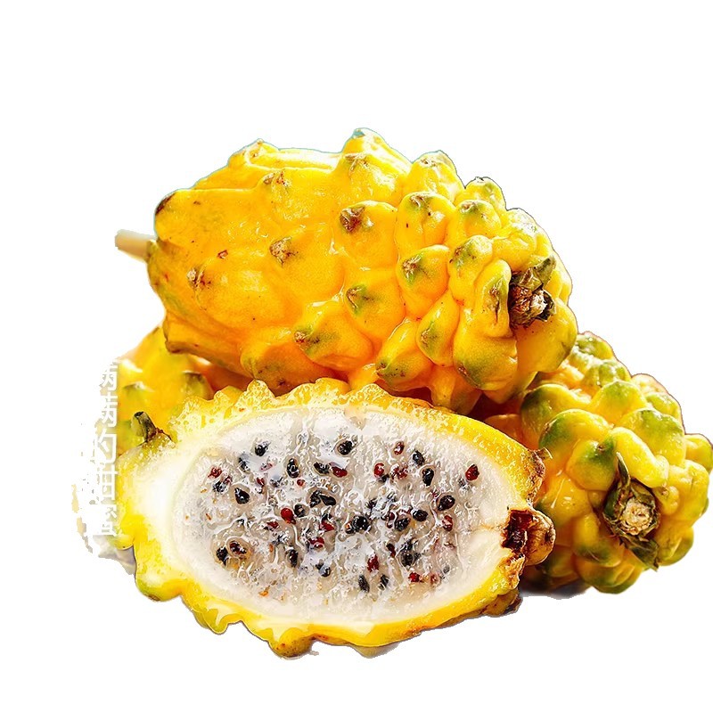 Sf 2.5kg Gift Box Bird's Nest Fruit Fresh Dragon Fruit White Heart Unicorn Fruit Seasonal Fruit for Pregnant Women Whole Box Free Shipping