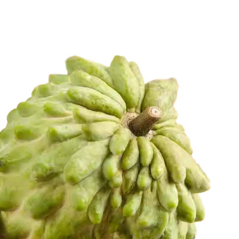 Milk Saba Fruit Fresh 2.5kg Pineapple Saba Fruit Seasonal Saba Fruit Buddha Head Fruit