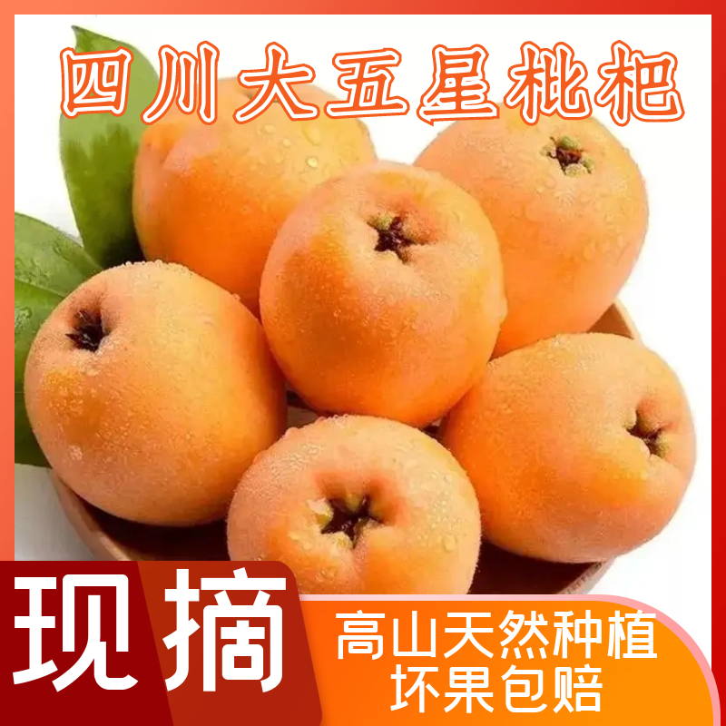 Sf Express Sichuan Alpine Five-Star Loquat Seasonal Fresh Fruit Freshly Picked Seasonal Sweet Loquat Seasonal Fresh Fruit Whole
