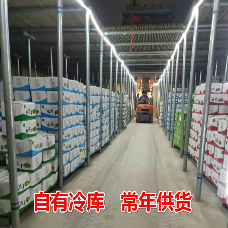 Free Shipping Xinjiang Raisins Without Additives Whole Box of Raisins 10kg Commercial Snack Raisins