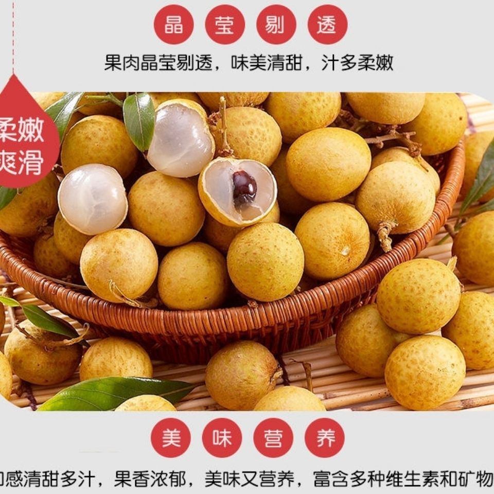Thai Longan Freshly Imported Fresh Longan Fruit Seasonal Whole Box Seasonal Fresh Longan Large Fruit with Branches and Net Fruit