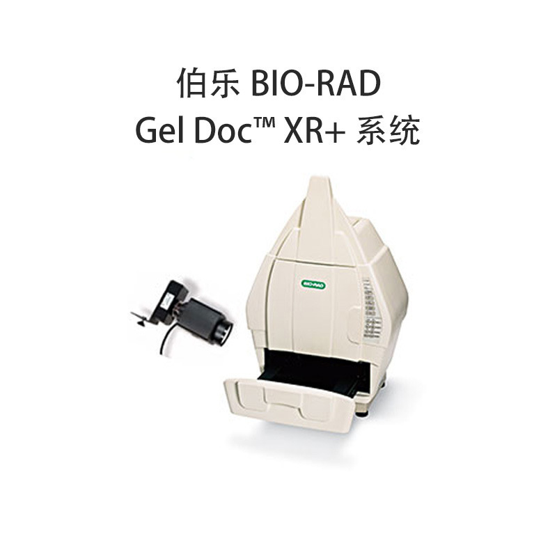 American Bio-Rad Gel Imaging System Chemidoc/Geldoc Gel Document System