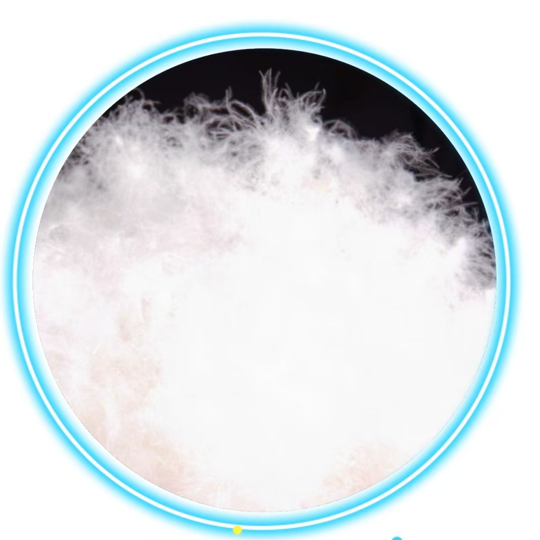 Alberta Children's Wear School Uniform Student Campus Winter Windproof Warm Down Jacket for Boys and Girls New Style on Market