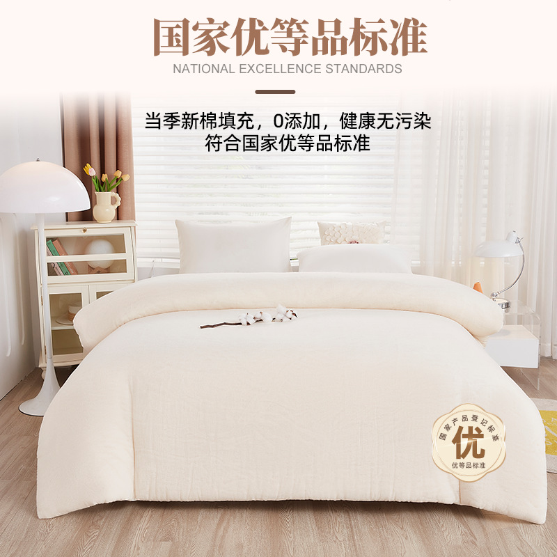Cotton Quilt Mattress Type a Quilt Cotton Batting Mattress Student Quilt Pad Quilt Winter Quilt Quilt Core Manufacturer