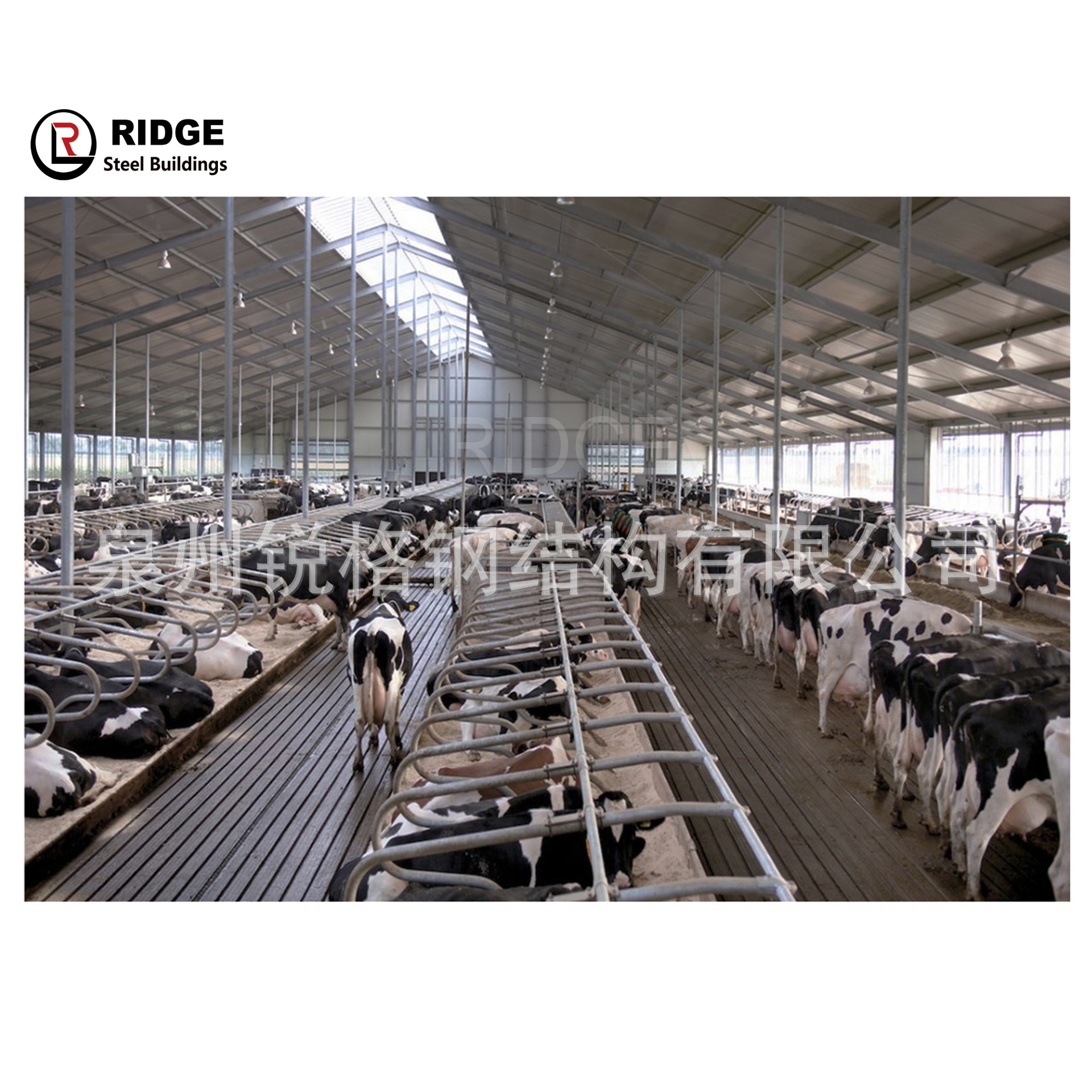 Export overseas steel structure pig coop chicken coop cattle coop horse farm prefabricated building installation