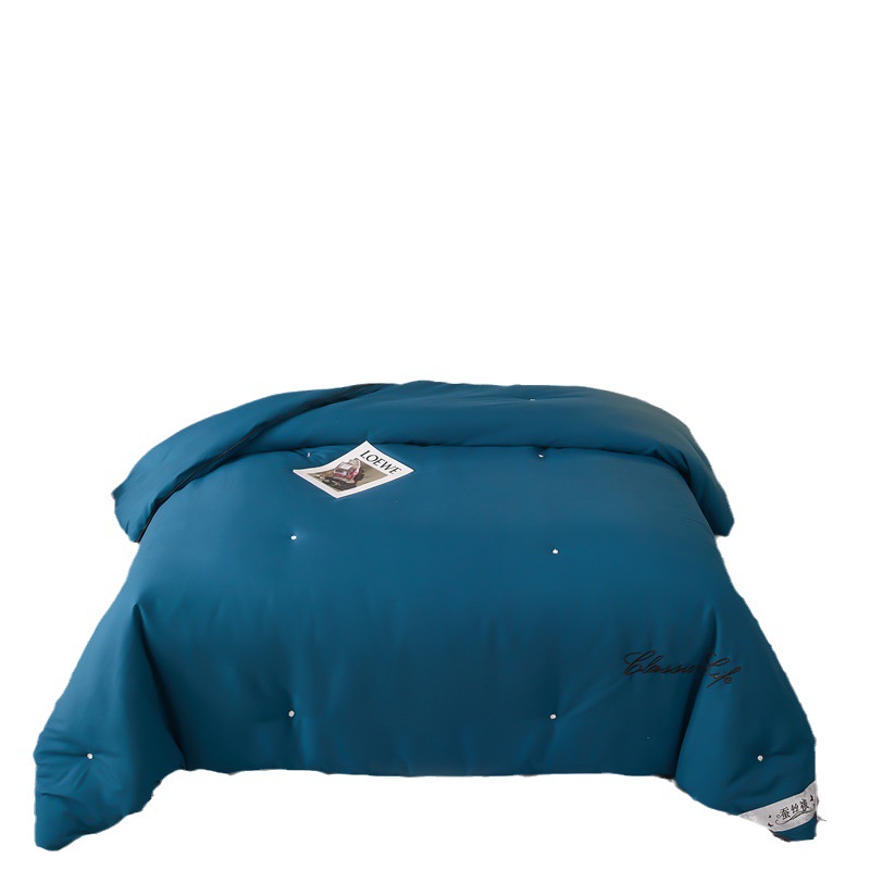 Cross-border quilt core silk quilt thickened winter quilt high-end handmade mulberry silk summer quilt student dormitory spring and autumn quilt