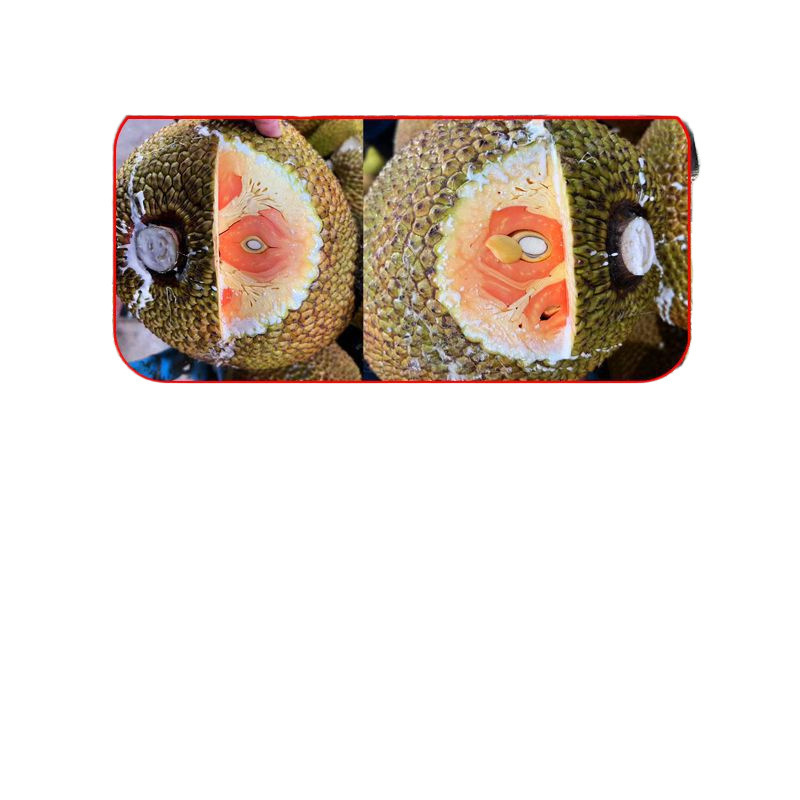 Indonesian Red-Fleshed Jackfruit, Seasonal Dried Crispy Sweet Ruby ​​Jackfruit, Free Shipping with Sf Express