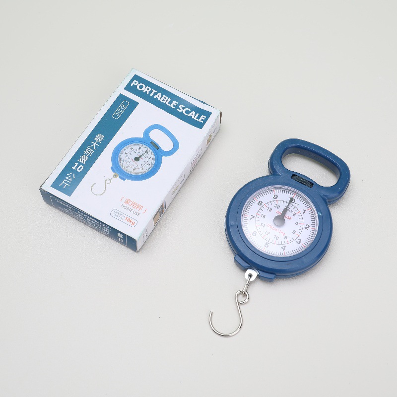 Precision Mini Spring Scale, High-precision Grocery Shopping Household Small Satchel Scale, Student Teaching Machinery Hook Scale