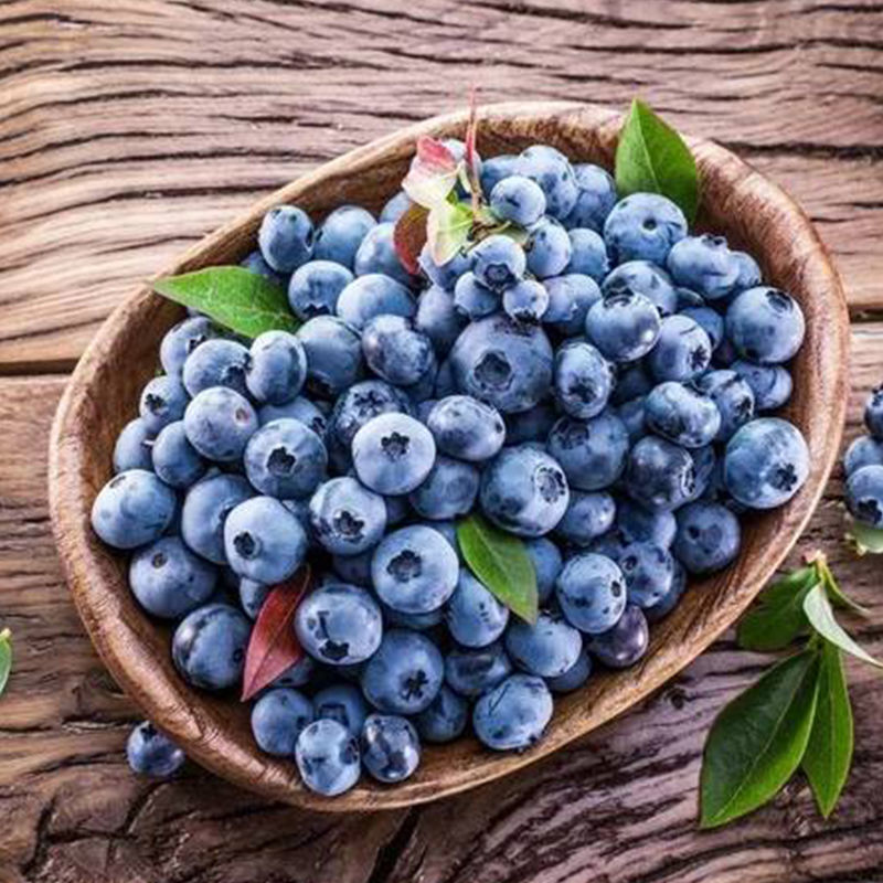 Sf Cold Chain Blueberry Fresh Dandong Large Blueberry Non-Yunnan Yikeberry Baby Auxiliary Blueberry Fresh Fruit