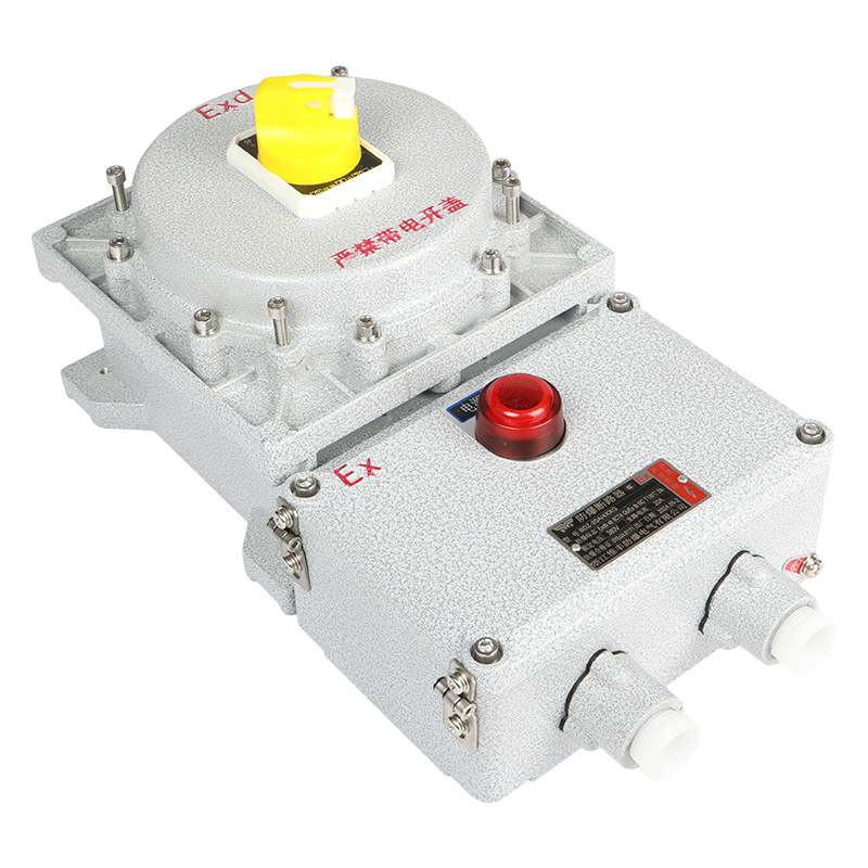 Explosion-Proof Box Distribution Inspection Terminal Box Instrument Positive Pressure Cabinet Button Control Switch Terminal Box Socket Box Manufacturer