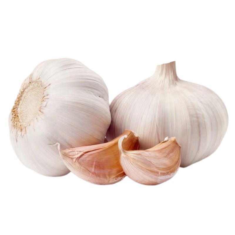 Fresh Garlic with Red Skin, Large Dried Purple Skin, Reduced Price, Shandong Garlic Head带头 Wholesale Jinxiang
