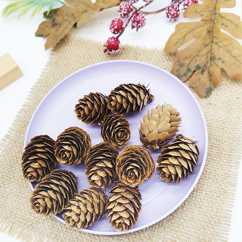 Сухие цветы лиственницы сосна белая мини сосновая шишка окрашенная белая сосновый цветок DIY декоративные аксессуары оптом
