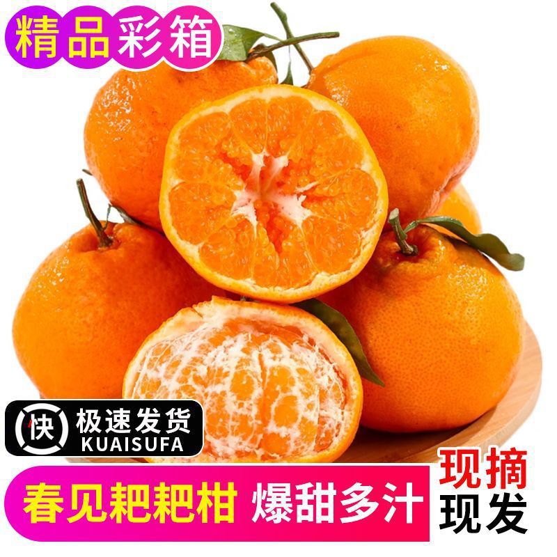 Raked Mandarin Oranges Are Shipped with Leaves Only, Fresh Sichuan Mandarin Oranges, Fresh Fruits, Seasonal Ugly Oranges, Oranges