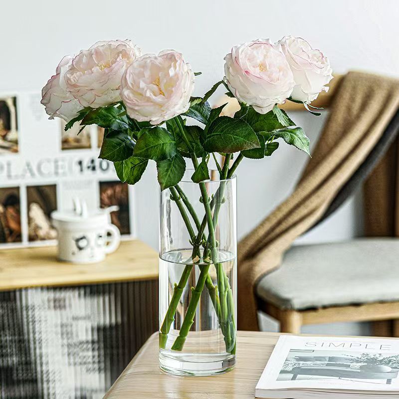 Small Glass Vase for Flowers, Transparent Straight Tube Dried Flowers, High Borosilicate Glass Vase, Flower Hydroponic Plant Vase Decoration