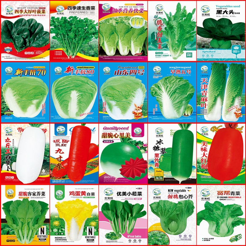 Autumn and Winter Various Vegetable Seeds, Chinese Cabbage Seeds, Seedlings with High Germination Rate, New Varieties of Rapeseed Wholesale Companies