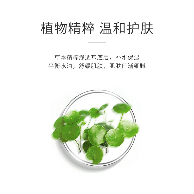 Centella Asiatica Hydrosol Flower Water Soothing, Hydrating and Oil-Control Wet Compress Toner after Sun Exposure High Saturation Ancient Method Copper Pot Distillation