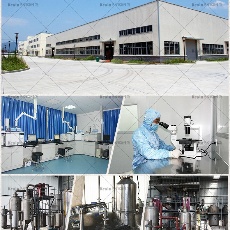 Bovine Collagen in Stock Wholesale Bovine Bone Extract in Stock Bovine Protein Raw Material Powder