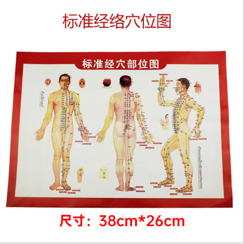 Wormwood essential oil foot bath beauty salon Whole Body SPA scraping plant large bottle ginger ginger scraping massage essential oil