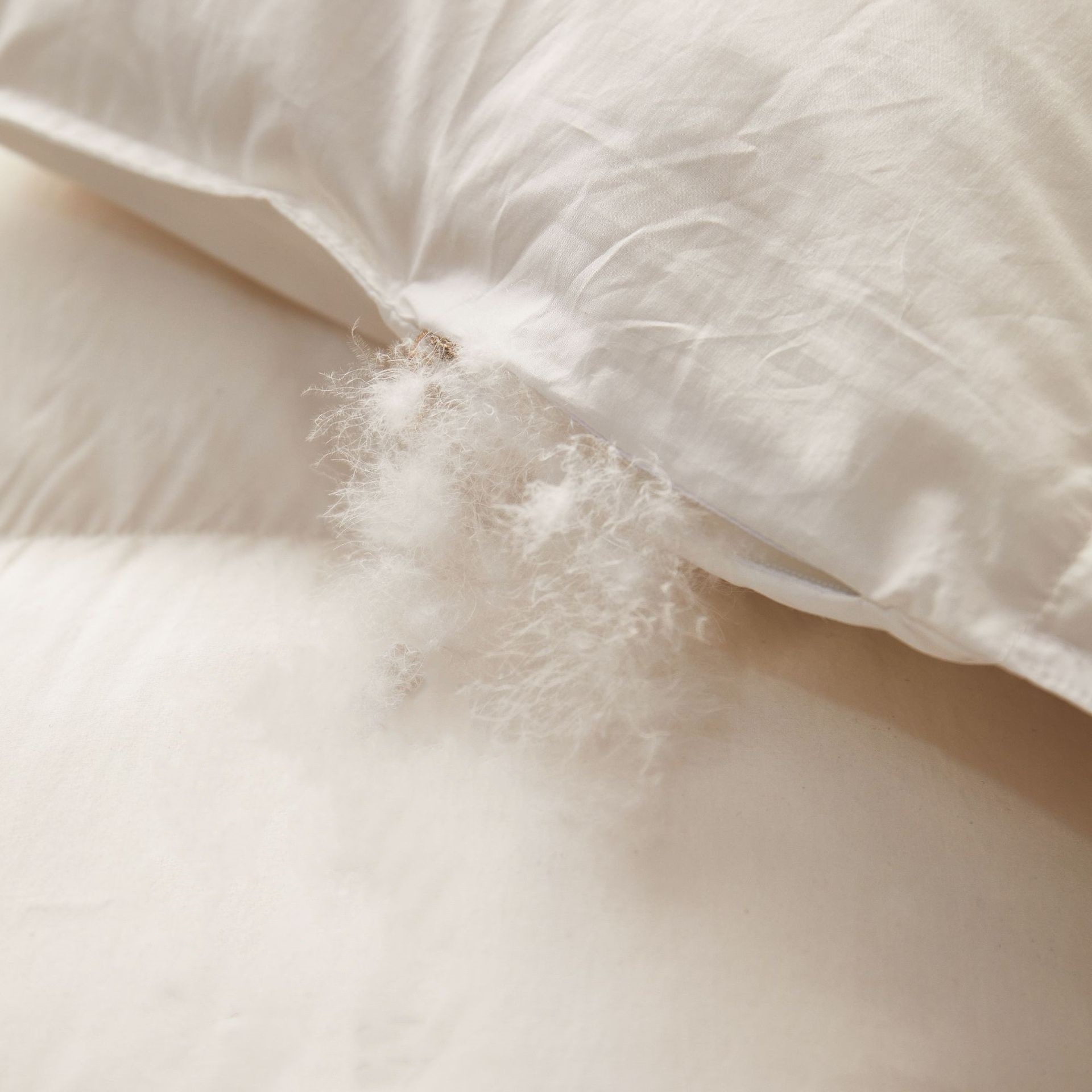 Five-Star Hotel Duvet 95% White Goose down Quilt, High-End Guesthouse Duck down Quilt, Thickened Goose down Winter Quilt