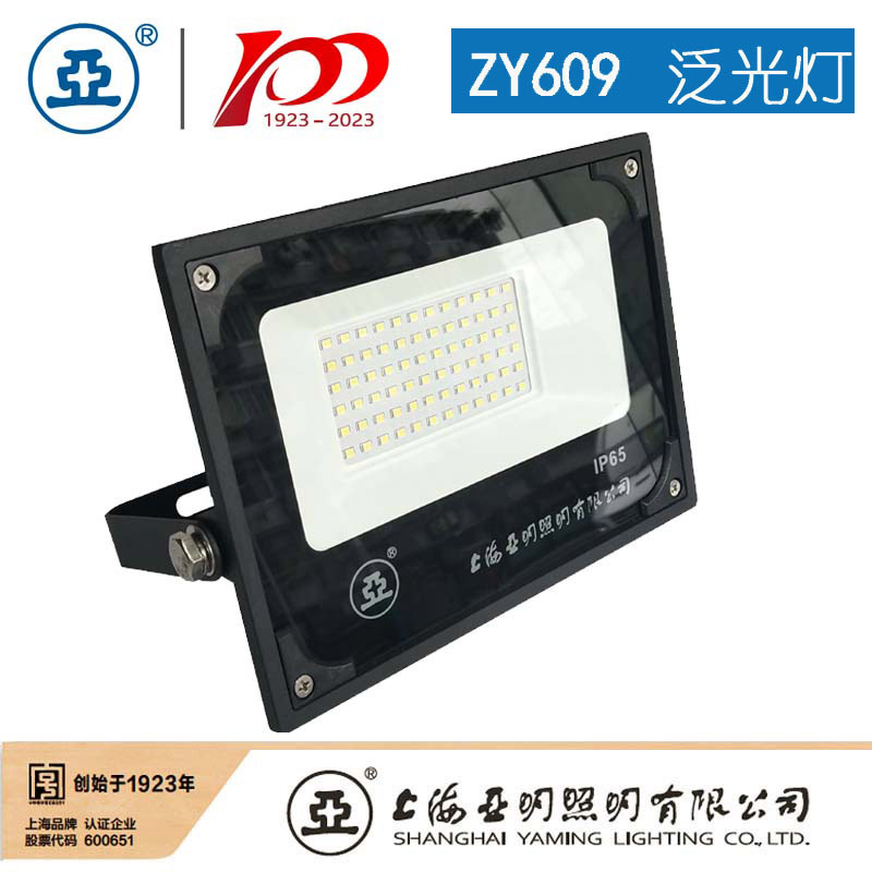 Shanghai Yaming Lighting Led Floodlight Zy609 100W Advertising Floodlight 200W Outdoor Waterproof Light