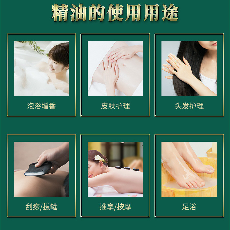 Hansel wormwood ginger plant extract massage essential oil nourishing skin moisturizing body with oil to clear meridians scraping massage