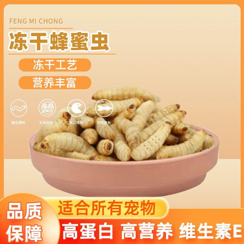 Сублимированные медовые черви, виноградные черви, кукурузные черви, бесплатная доставка, корм для птиц, корм для летучих мышей, вышитые глаза хомячка, закуска для геккона