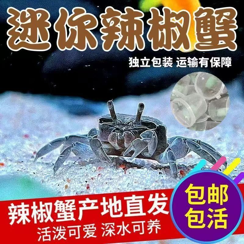 Small Crab Ornamental Crab Pet Crab Freshwater Fish Tank Algae-climbing Pet Eating Feces Cleaning Tools Deepwater Ornamental Crab