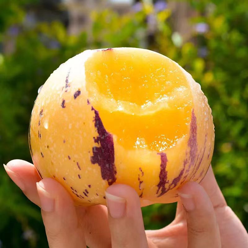 [Milk and Sweet] Yunnan Shilin Ginseng Fruit Round Fruit Naturally Mature Seasonal Fresh Fruit Wholesale