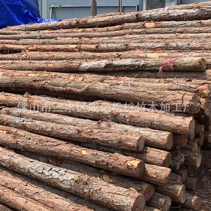 Pine pile flood control timber pile construction site river piling timber river bank flood control and flood control civil works greening support timber